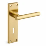 Brass Mortise Handle